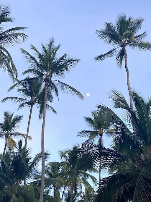 Chant Des Sirenes Villa Las Terrenas 0*,