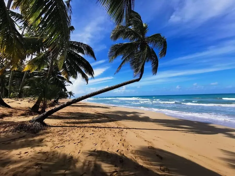 Chant Des Sirenes Villa Las Terrenas